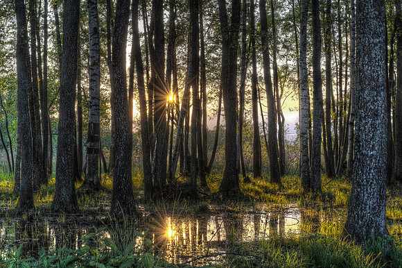 Latvia Sunset